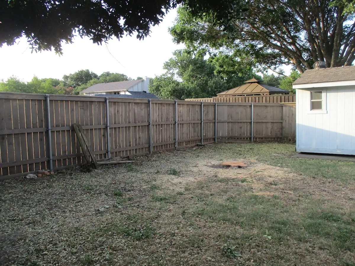 Cleared yard after professional tree removal in Binghamton